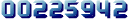 Website Counter